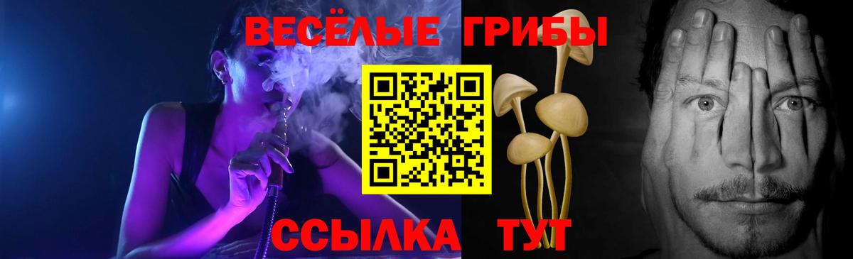 Галлюциногенные грибы Magic Shrooms Грязи